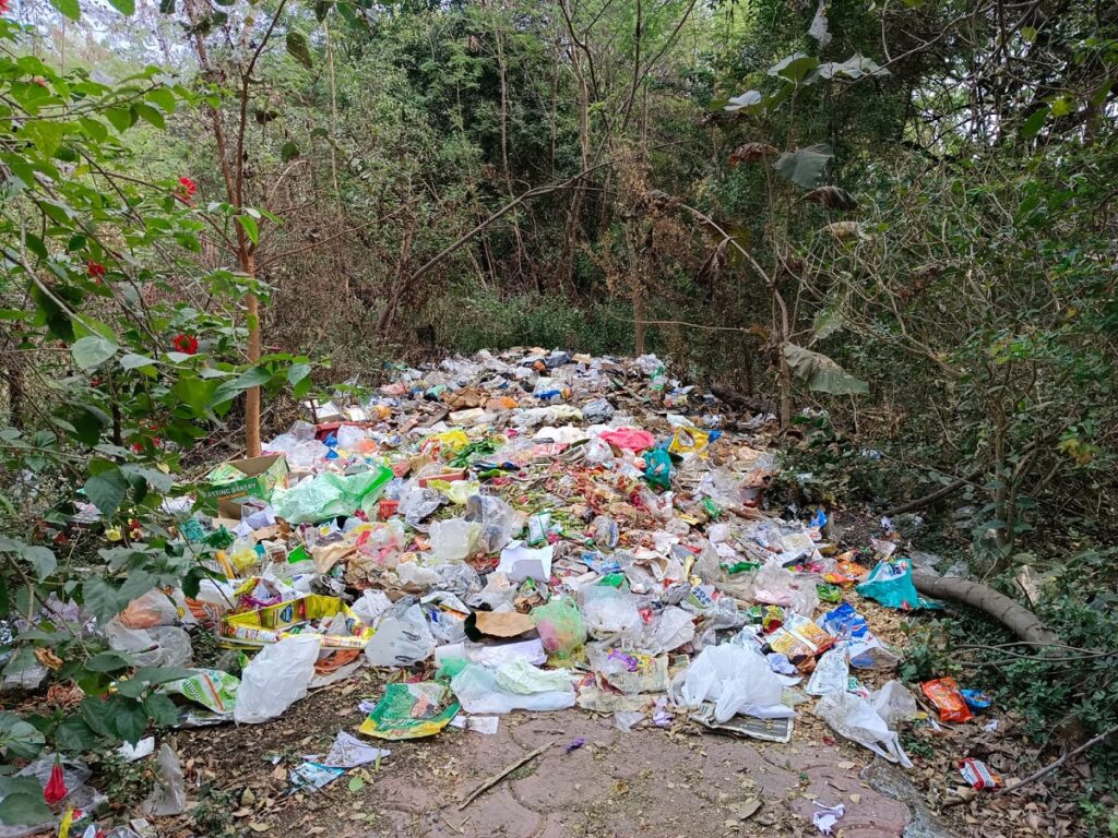 बढ़ता प्लास्टिक प्रदूषण जो पर्यावरण वनस्पति व मनुष्यों के लिये ख़तरा है