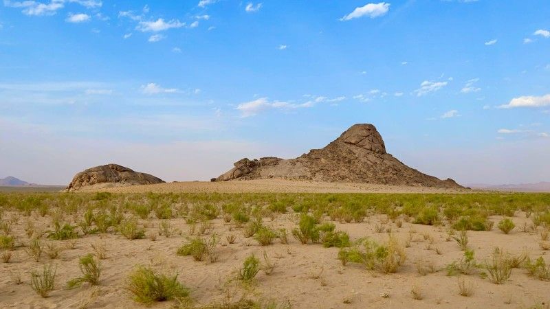 img-20260326-wa0002_copy_800x4501997612585370890949